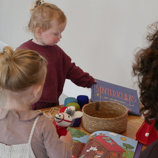 Kijk - en Zoek Prentenboek -   Charlotte Dematons - Sinterklaas