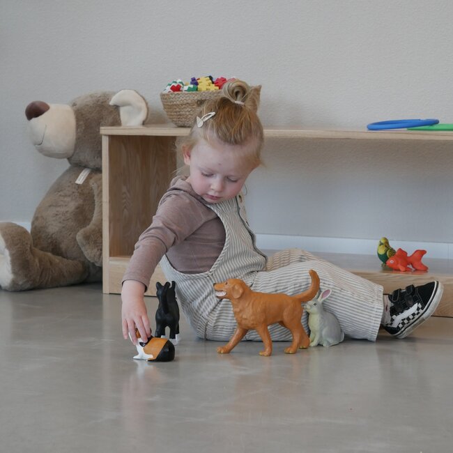 Learning Resources - Jumbo Huisdieren (6-delig)