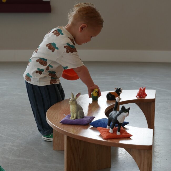 Learning Resources - Jumbo Huisdieren (6-delig)