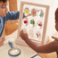 Guidecraft - Specimen - Houten Standaard