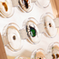 Guidecraft - Specimen - Houten Standaard