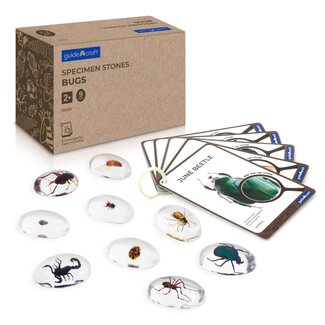 Guidecraft Specimen Stenen - Kriebelbeestjes