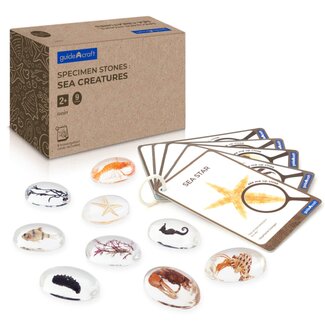 Guidecraft Specimen Stenen - Zeedieren