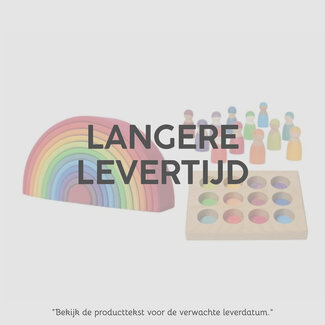 JUTTER & Co. Ready to Play Speelpakket - Dreumes Regenboogspel