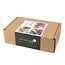 Abel Blocks - Mini Rewood Color (72-delig)