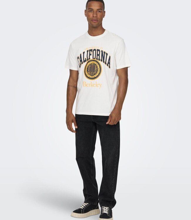 ONLY & SONS Broek SEDGE LOOSE 6985 Only & Sons (NOOS) BLACK  DENIM