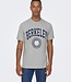 ONLY & SONS T-Shirt BERKELEY Only & Sons LIGHT GREY