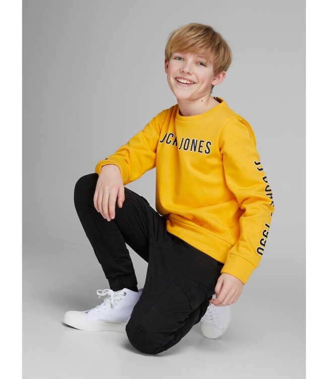 JACK & JONES KIDS Broek Jeans PAUL CARGO Jack & Jones (NOOS) BLACK