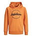 JACK & JONES KIDS Hoodie STANLI Jack & Jones DESERT SUN BIG