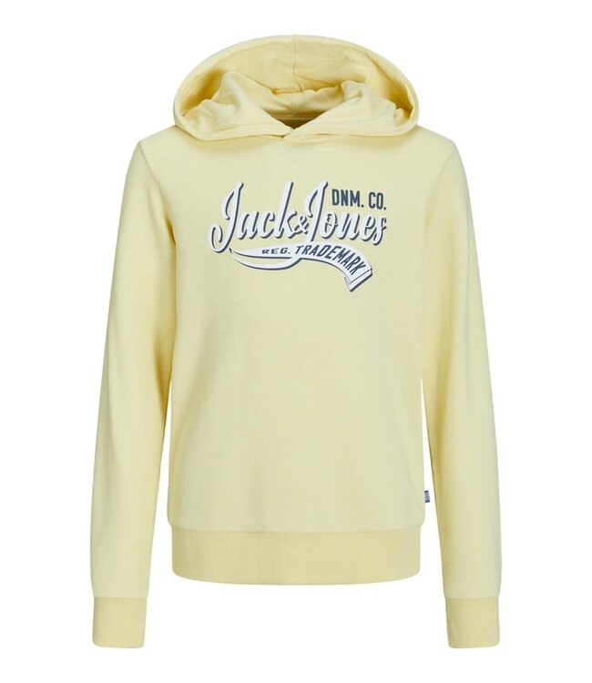 JACK & JONES KIDS Hoodie LOGO  Jack & Jones FRENCH VANILLA MELANGE