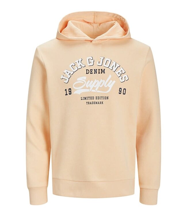 JACK & JONES KIDS Hoodie LOGO jack & jones APRICOT ICE