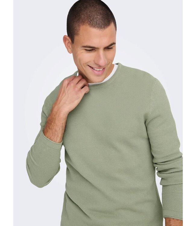 ONLY & SONS Pull PANTER RONDE HALS  Only & Sons  SEAGRASS