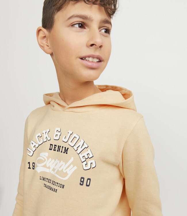 JACK & JONES KIDS Hoodie LOGO jack & jones APRICOT ICE