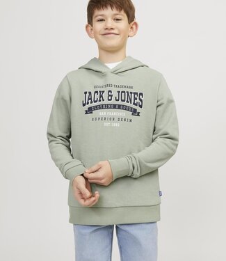 JACK & JONES KIDS Hoodie LOGO  Jack & Jones DESSERT SAGE