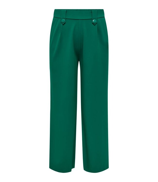 ONLY CARMAKOMA Broek SANIA Carmakoma AVENTURINE