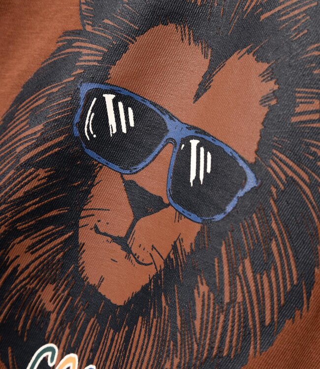 NAME-IT Pull RICKO  Name-it Boys COCONUT SHELL