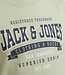 JACK & JONES KIDS T-shirt LOGO jack & jones DESERT SAGE