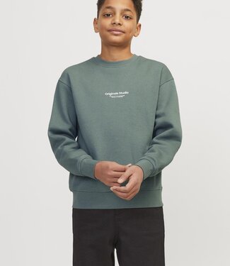 JACK & JONES KIDS Pull ORVESTERBRO Jack & Jones LAUREL WREATH