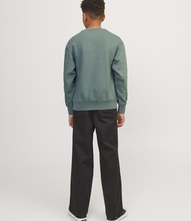 JACK & JONES KIDS Pull ORVESTERBRO Jack & Jones LAUREL WREATH