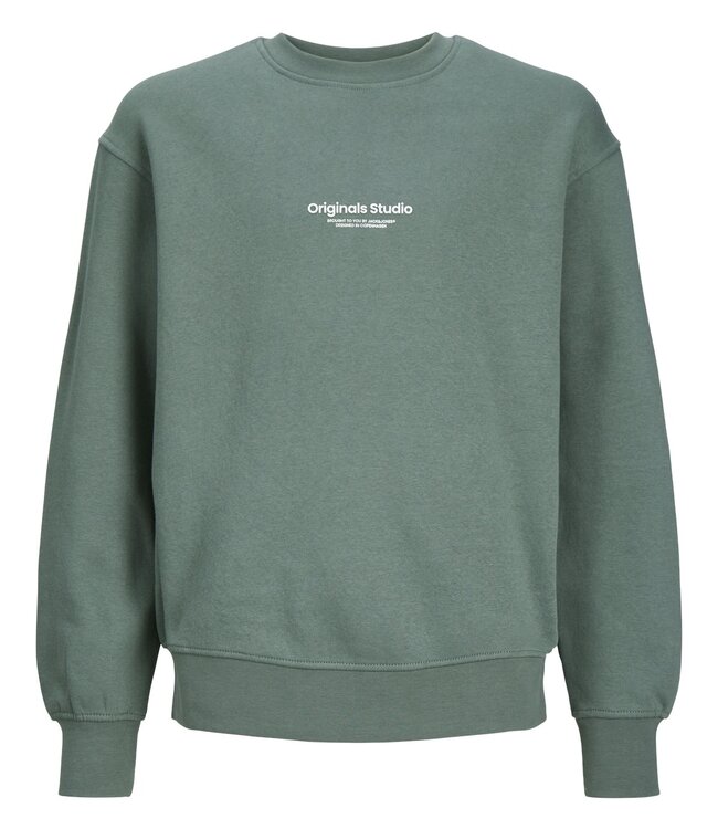 JACK & JONES KIDS Pull ORVESTERBRO Jack & Jones LAUREL WREATH