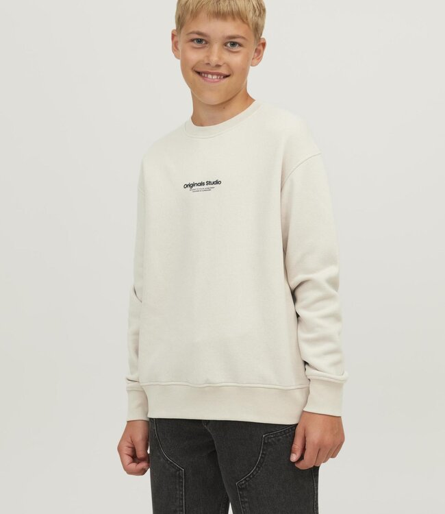 JACK & JONES KIDS Pull ORVESTERBRO Jack & Jones MOONBEAM