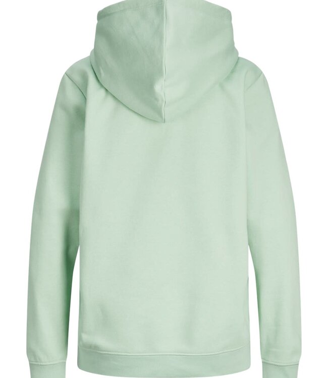 JJXX Hoodie ABBIE JJXX GRAYED JADE