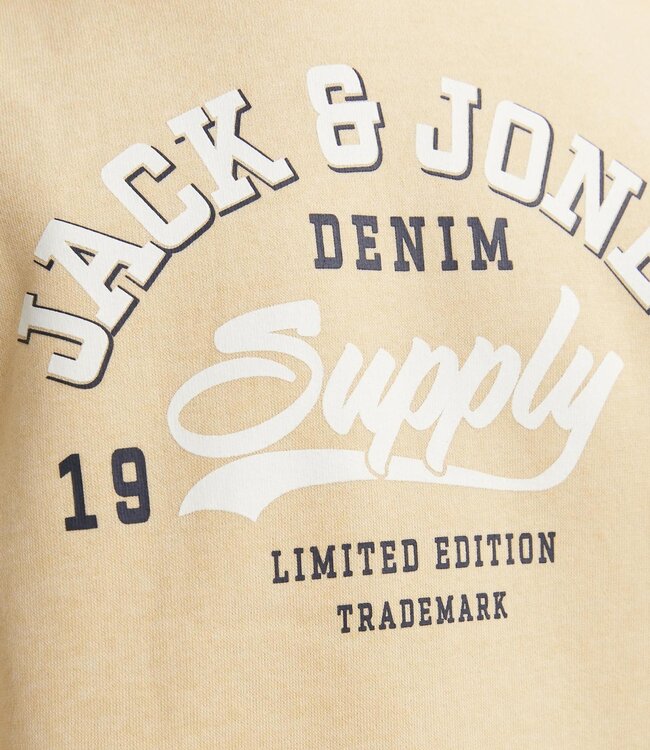 JACK & JONES KIDS Hoodie LOGO jack & jones APRICOT ICE
