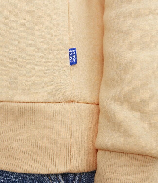 JACK & JONES KIDS Hoodie LOGO jack & jones APRICOT ICE