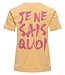 JJXX T-shirt TRULY JJXX CHAMOIS SALS