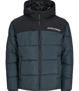 JACK & JONES KIDS Jas MOON Jack & Jones MAGICAL FOREST