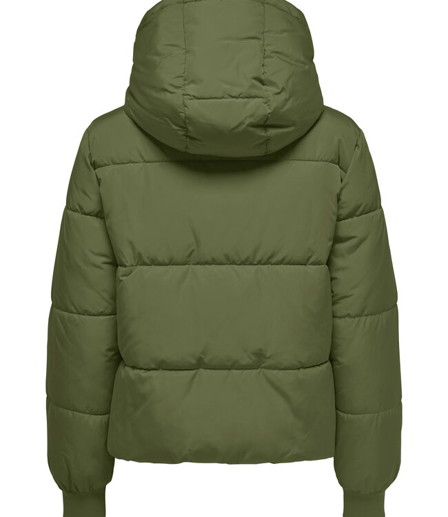 JDY Jas NEW ERICA JDY (NOOS) WINTER MOSS