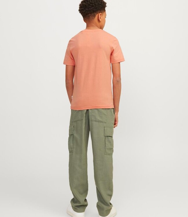 JACK & JONES KIDS T-shirt ARUBA Jack & Jones CANYON SUNSET