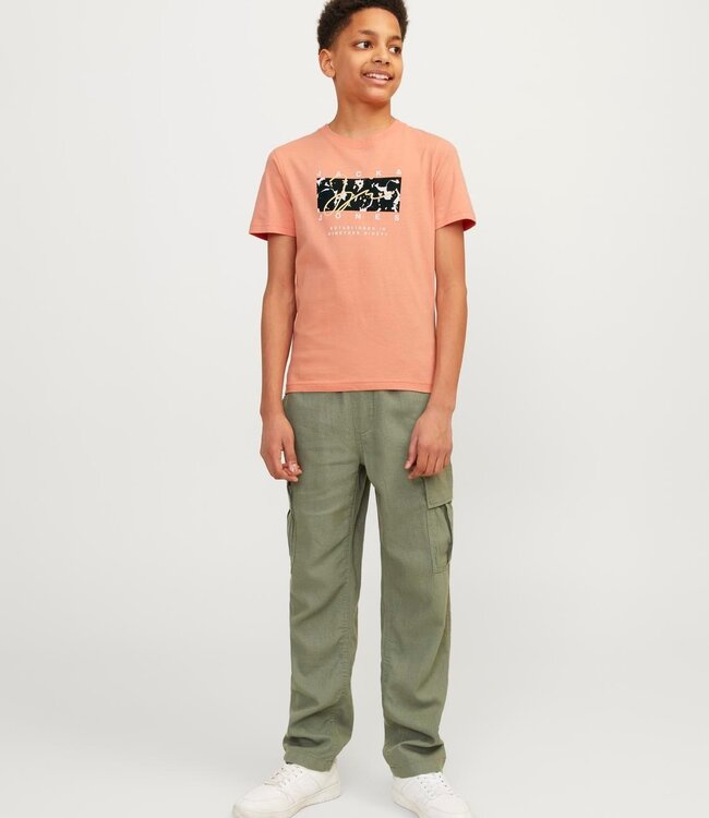 JACK & JONES KIDS T-shirt ARUBA Jack & Jones CANYON SUNSET