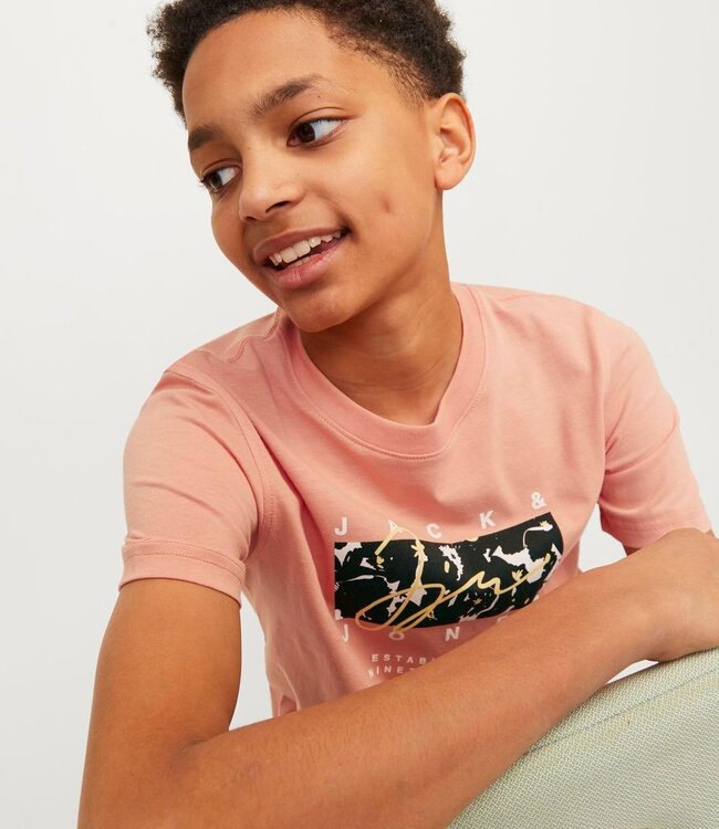 JACK & JONES KIDS T-shirt ARUBA Jack & Jones CANYON SUNSET