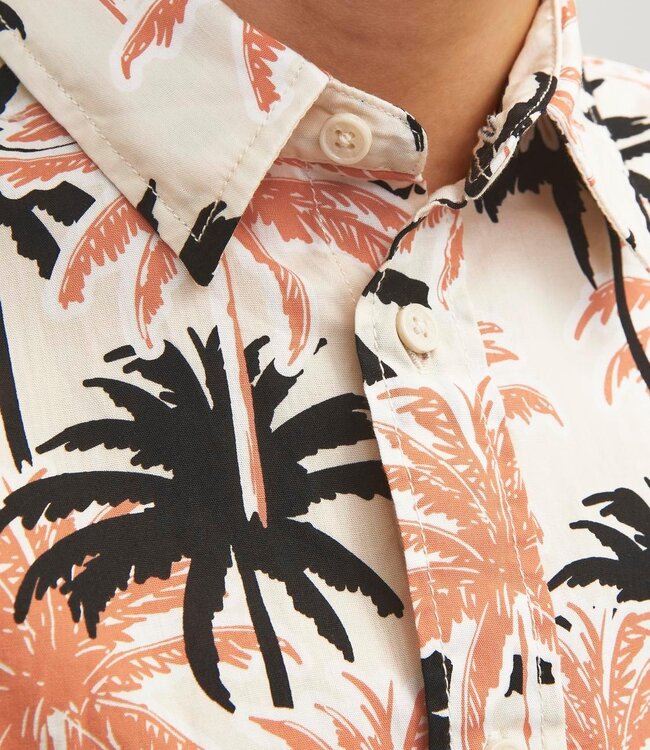 JACK & JONES KIDS Hemd JOSHUA ARUBA Jack & Jones BUTTERCREAM