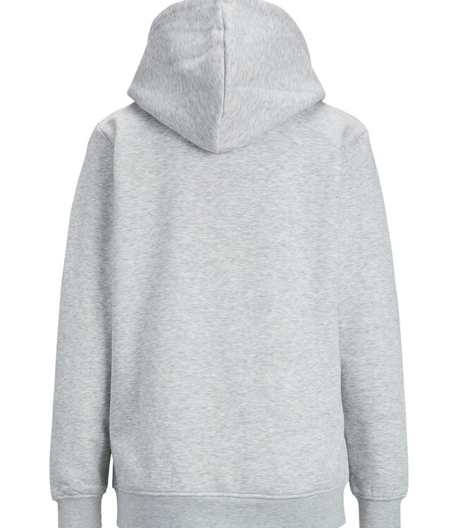 JJXX Hoodie ABBIE JJXX (NOOS) LIGHT GREY