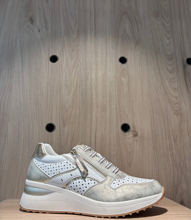 COVANA Schoen BASKET MET RITS GOUD