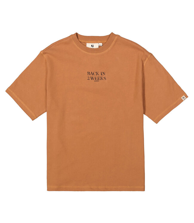 GARCIA T-Shirt BACK IN 2 WEEKS GARCIA TEENS BOYS HORN