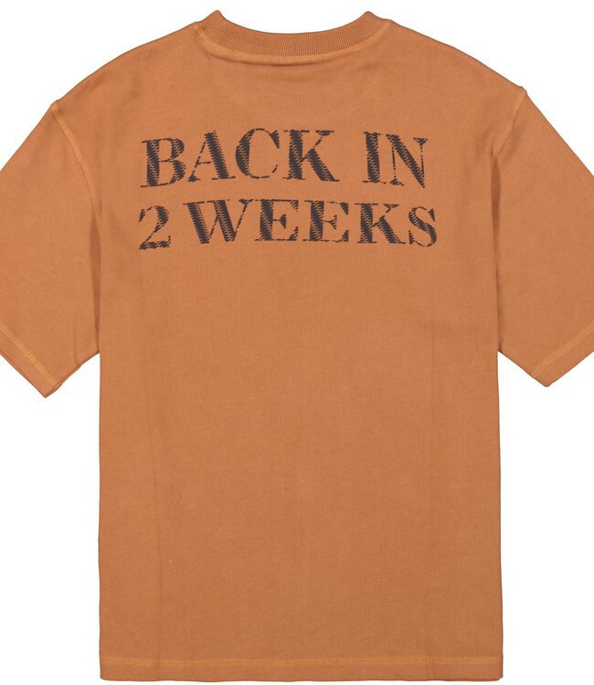 GARCIA T-Shirt BACK IN 2 WEEKS GARCIA TEENS BOYS HORN