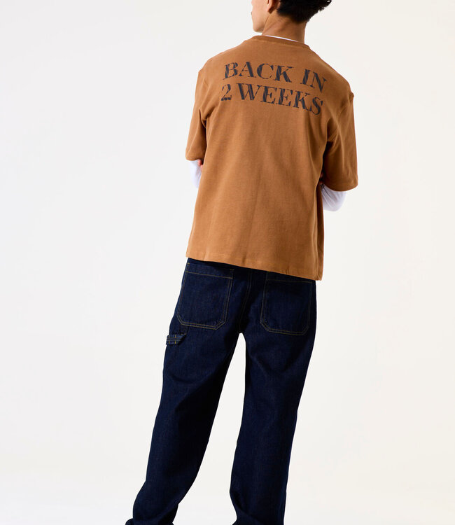 GARCIA T-Shirt BACK IN 2 WEEKS GARCIA TEENS BOYS HORN