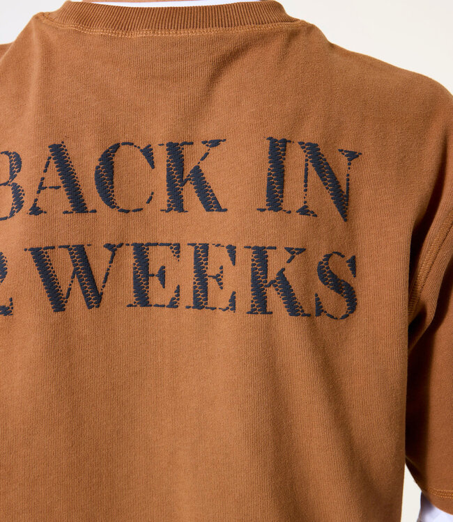 GARCIA T-Shirt BACK IN 2 WEEKS GARCIA TEENS BOYS HORN