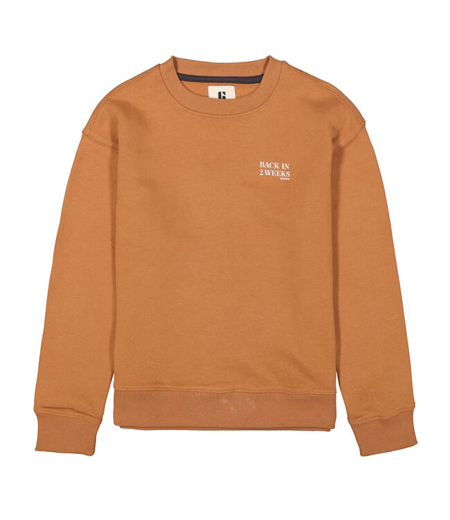 GARCIA Pull BACK IN 2 WEEKS GARCIA TEENS BOYS HORN