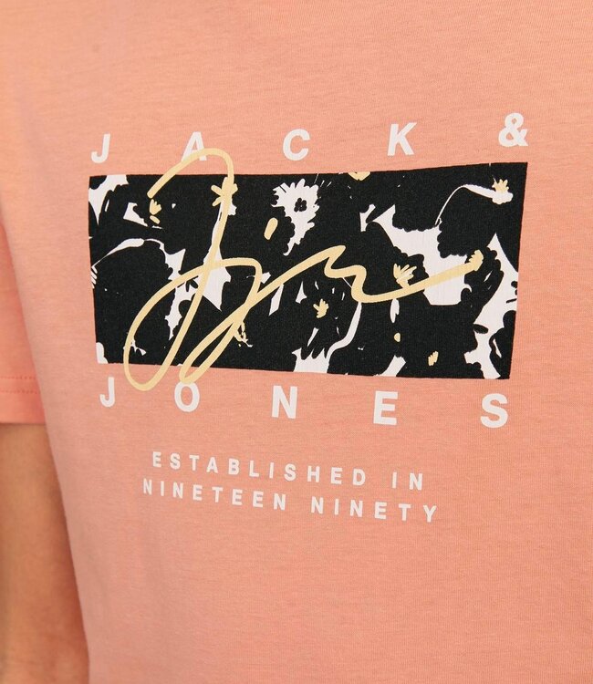 JACK & JONES KIDS T-shirt ARUBA Jack & Jones CANYON SUNSET