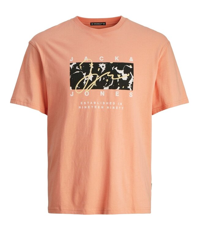 JACK & JONES KIDS T-shirt ARUBA Jack & Jones CANYON SUNSET