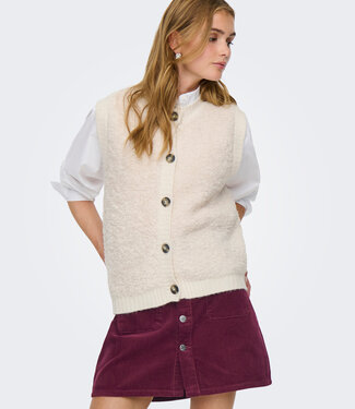 JDY Vest EIRA BUTTON JDY BIRCH