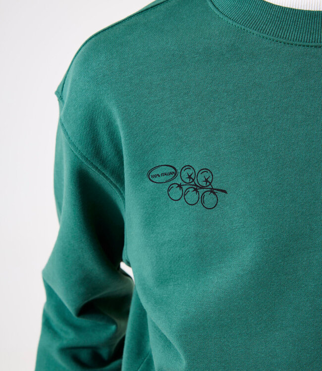 GARCIA Pull SWEATER ITALIAN GARCIA TEENS BOYS CONIFER