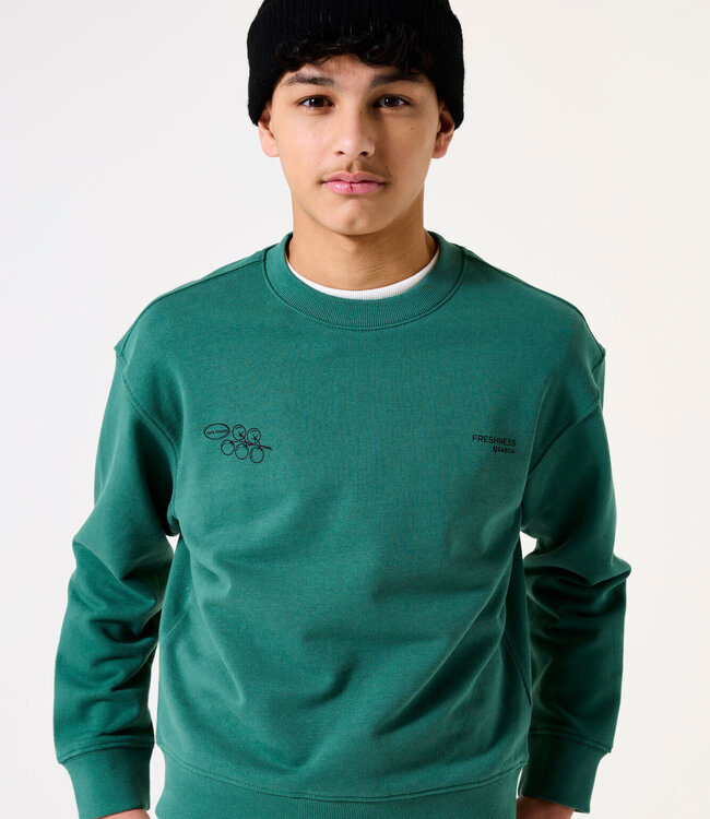 GARCIA Pull SWEATER ITALIAN GARCIA TEENS BOYS CONIFER
