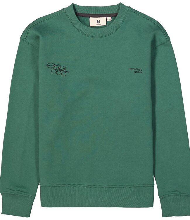 GARCIA Pull SWEATER ITALIAN GARCIA TEENS BOYS CONIFER