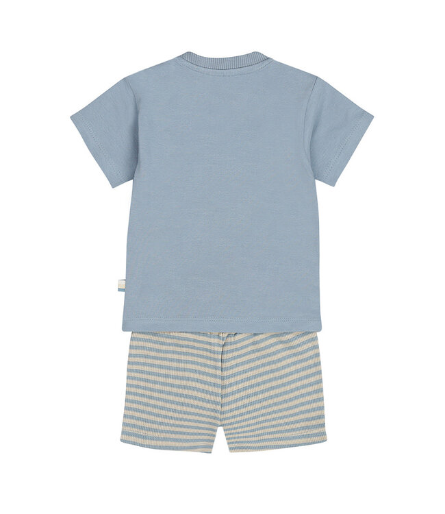 DIRKJE Baby SET BOYS  T-SHIRT SHORT OLIFANT DIRKJE