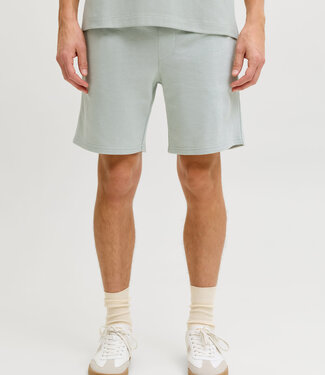 JJ REBEL Short GORM JJ REBEL AQUA GRAY